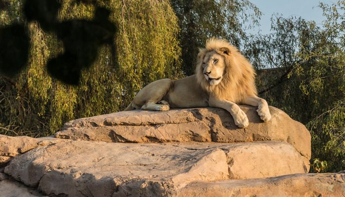 14 Top-Rated Attractions & Things To Do In Al Ain With Family