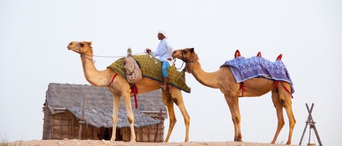 Al Marmoom Camel Race Track