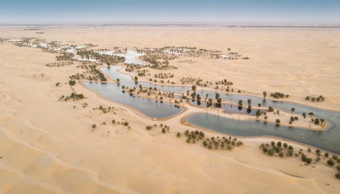 Where To Go Camping In The UAE? - Top 10 Places, Prices and More