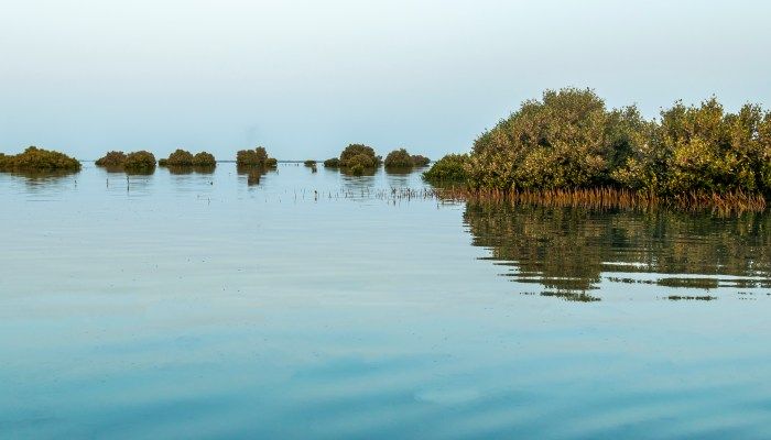 Al Rafaah Beach