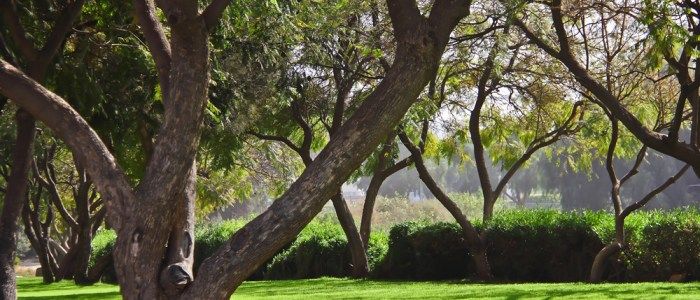 Al Salaam Park, places to visit in Abha