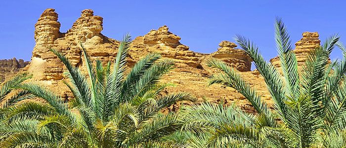 Top 10 Tourist Attractions And The Best Time To Visit Saudi Arabia!