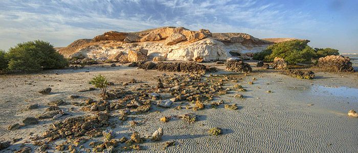Al-khor-island.jpg