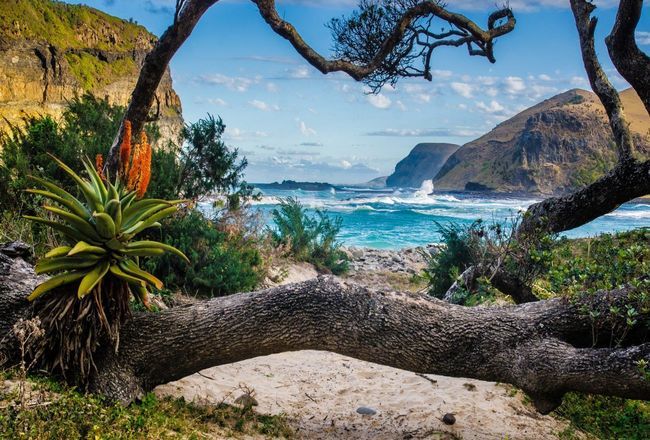 All About South African Visas: Why Do You Need One And How?