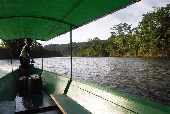 Amazon Jungle, Ecuador