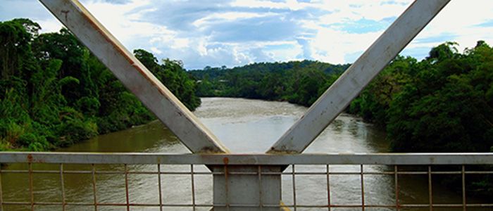 Amazon-jungle.jpg