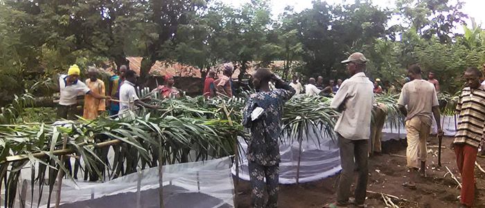Apomu