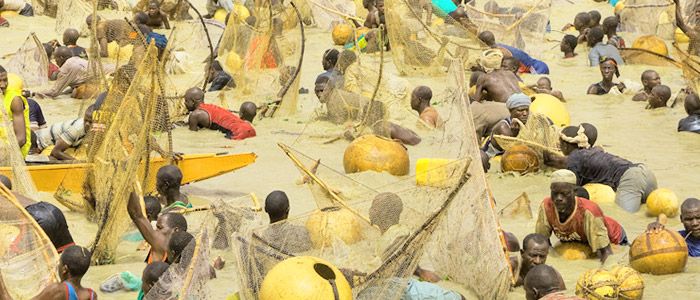 Argungu Fishing Festival