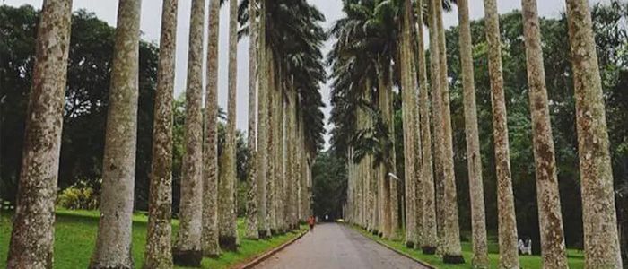 Aburi Botanical Gardens, Ghana