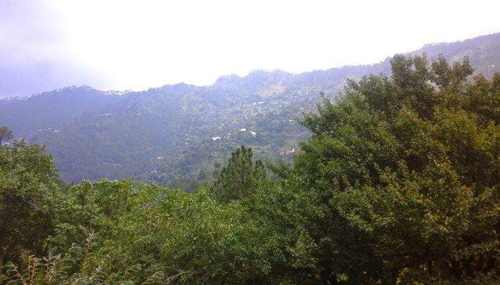 Asir National Park
