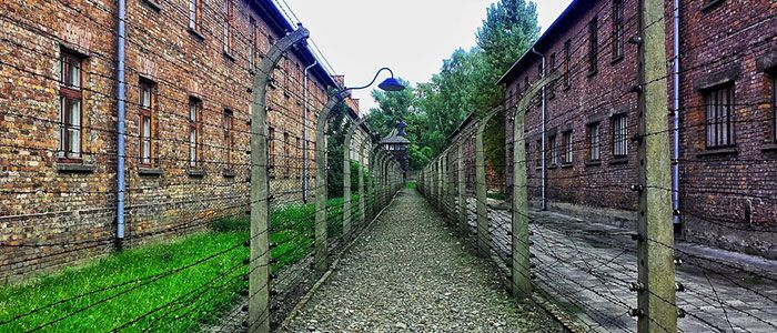List Of Top 20+ Best Things To Do In Poland While On Vacation