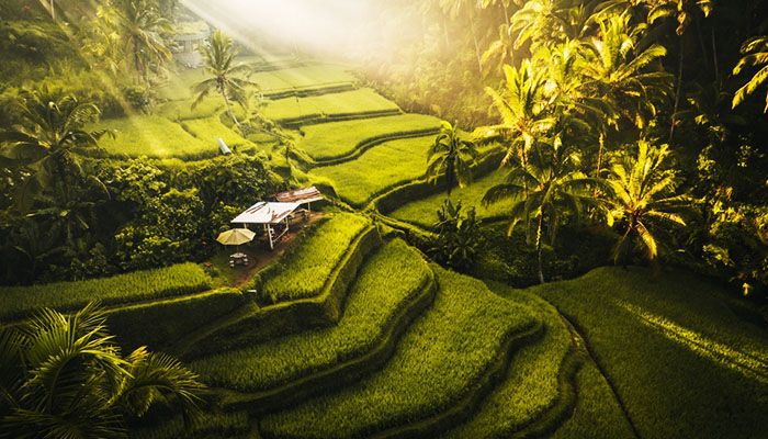 Bali, 2025 Eid Al Fitr