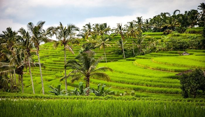 Bali, Places To Visit During Eid Holidays