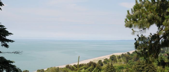 Batumi-Botanic-Gardens.jpg