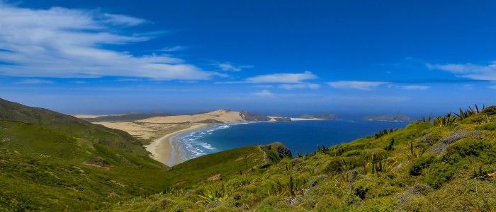 Things To Do In New Zealand - Bay of Islands New Zealand