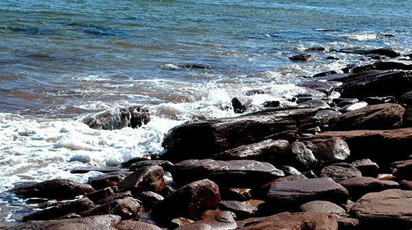 Beach-in-Canada.jpg