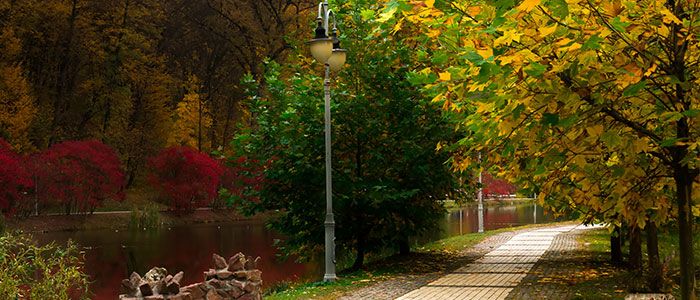 Beautiful Gardens In Kiev