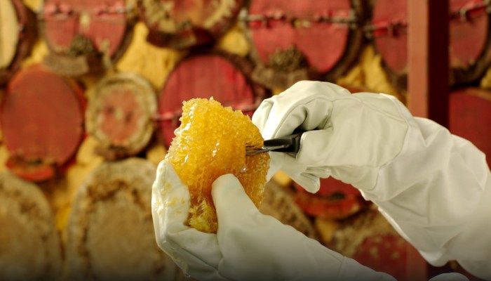 Bees Tower Honey Refinery
