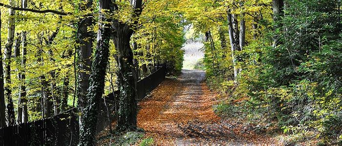Beskids