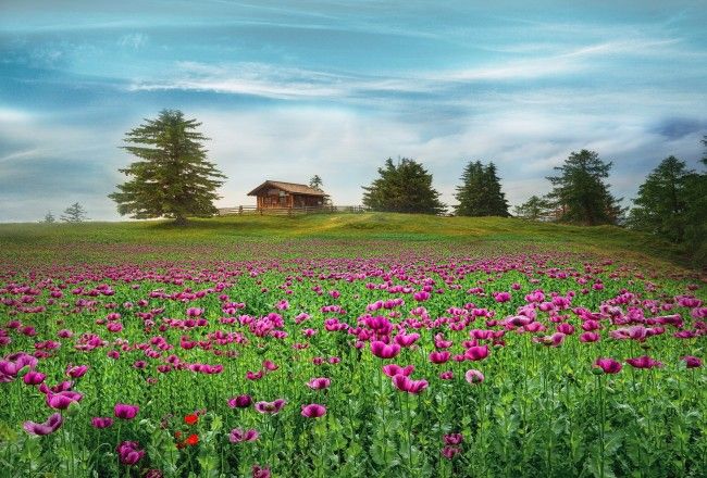20+ Most Beautiful Spring Destinations In The World