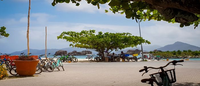 Bicycle-at-La-Digue-Island1.jpg