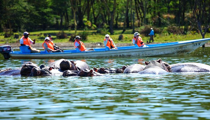 Boat Safari on Lake Naivasha