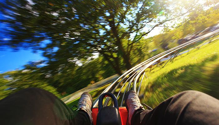 Bobsleigh Ride