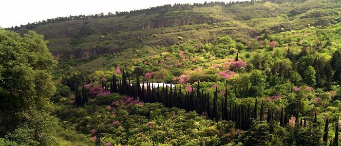things to do in Georgia country - relax at the botanical garden
