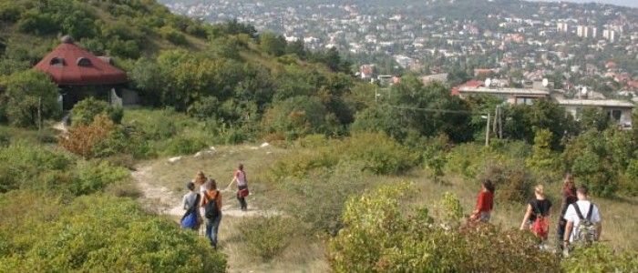 Buda Hills
