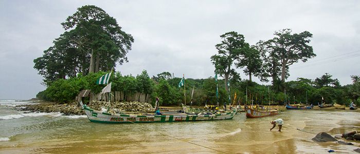 Busua