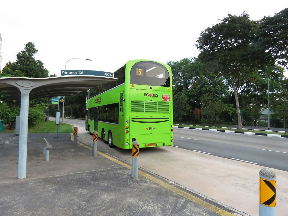 Bus, Public Transport In Singapore
