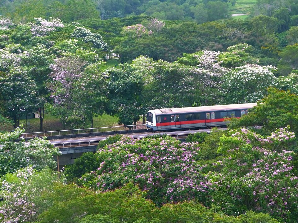 Your One-Stop Handy Guide To Public Transport In Singapore