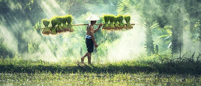 Cambodia