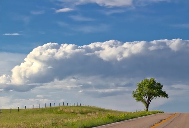 A Serene And Mesmerizing Drive From Cape Town To Johannesburg
