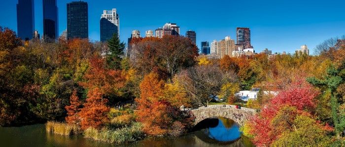 Central Park