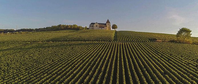 things to do in France - Champagne Region