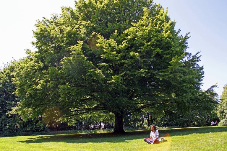 Chance to be one with nature