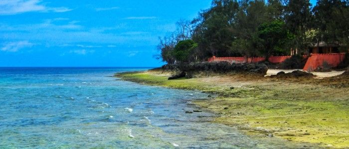 Changu Island Tanzania