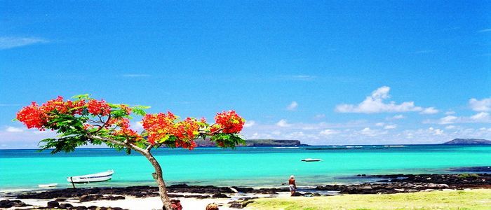 Coast_of_Mauritius.jpg