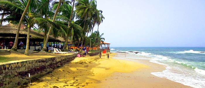 Coconut Grove Resort