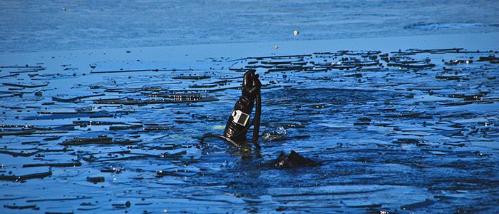 Cold-water-diving.jpg