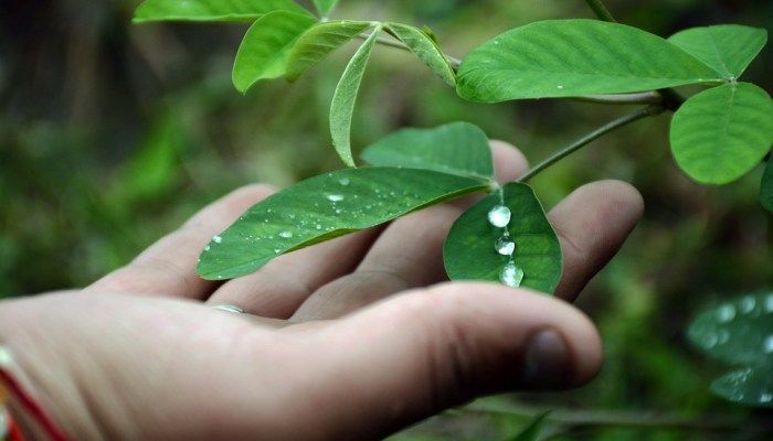 Conserve water and energy, how to travel sustainably