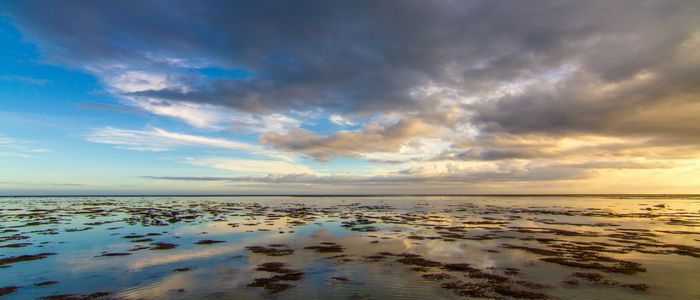 Things to do in Fiji - Coral Coast