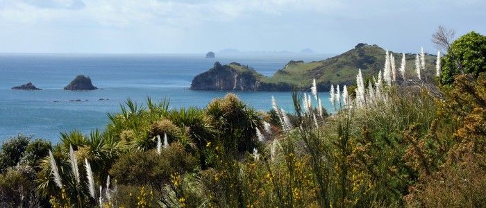 Things To Do In New Zealand - Coromandel Peninsula