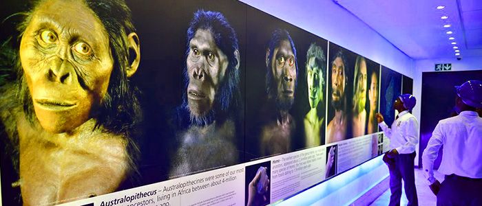 Cradle of Humankind, Johannesburg