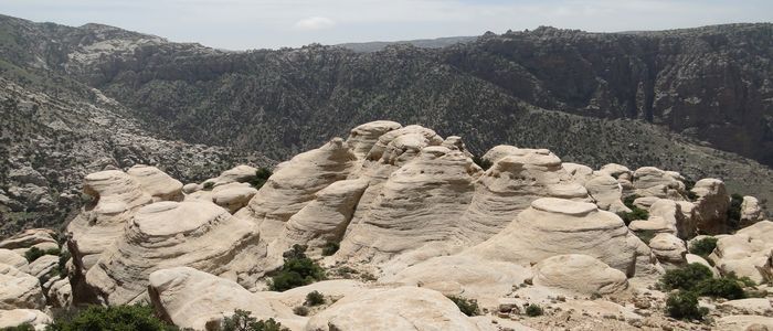 things to do in Jordan - Dana Reserve