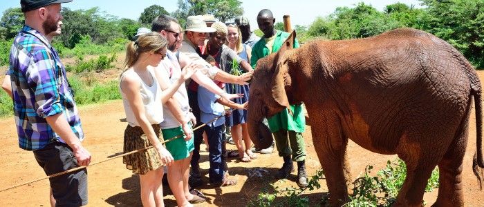 David Sheldrick Elephant Orphanage and Giraffe Centre