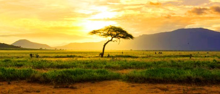 Mesmerizing African Landscape