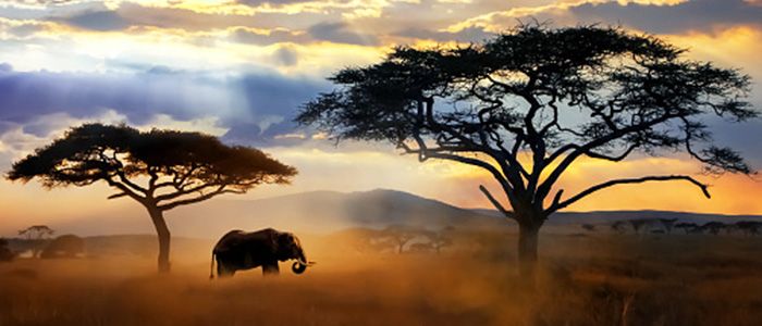 Beautiful African landscapes