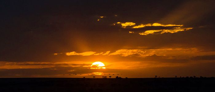 Mind blowing African Horizon